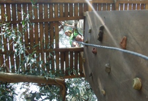 Paredes de Escalada